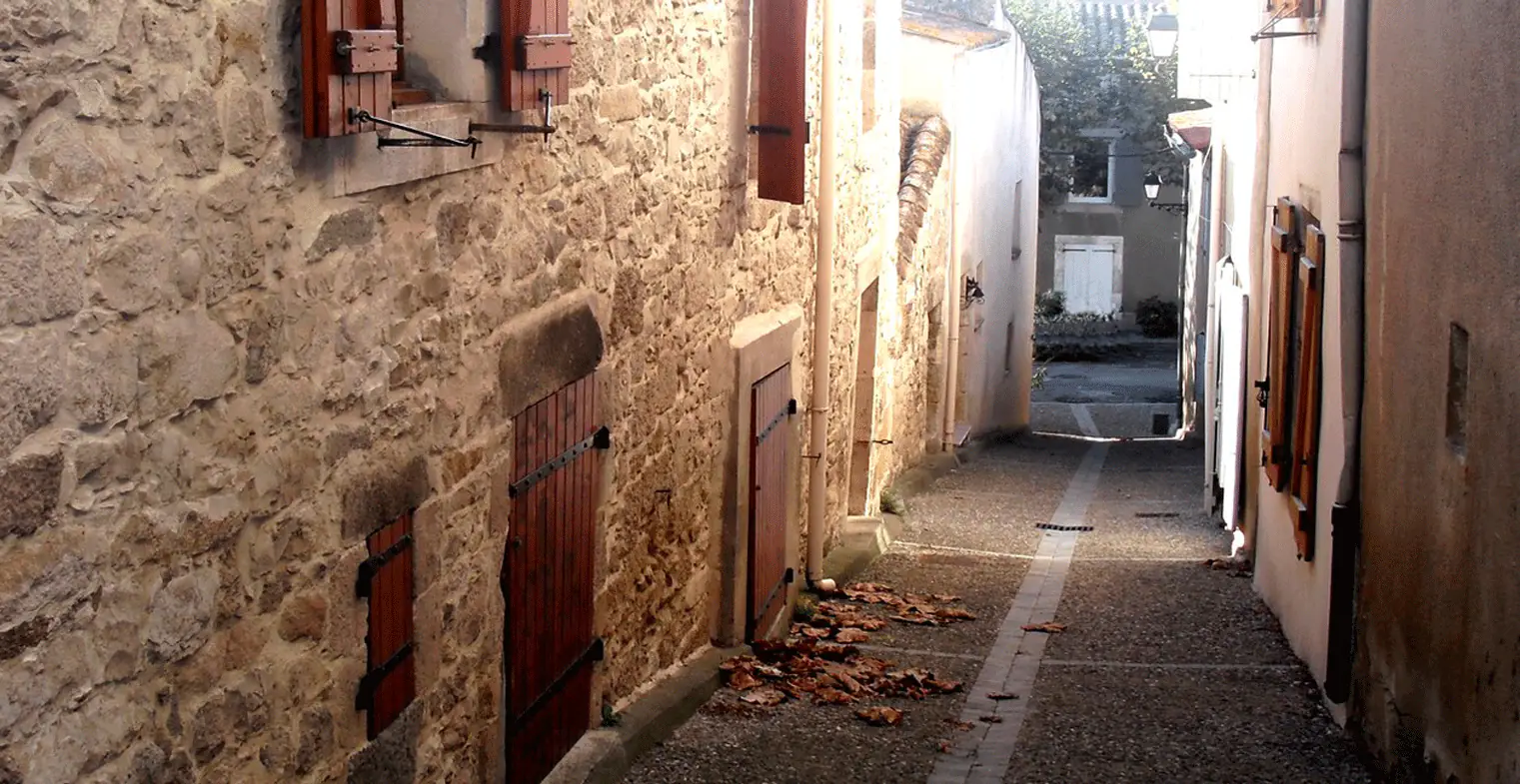 Gîte avec piscine à Ventenac-Cabardès, à seulement 10 minutes de Carcassonne