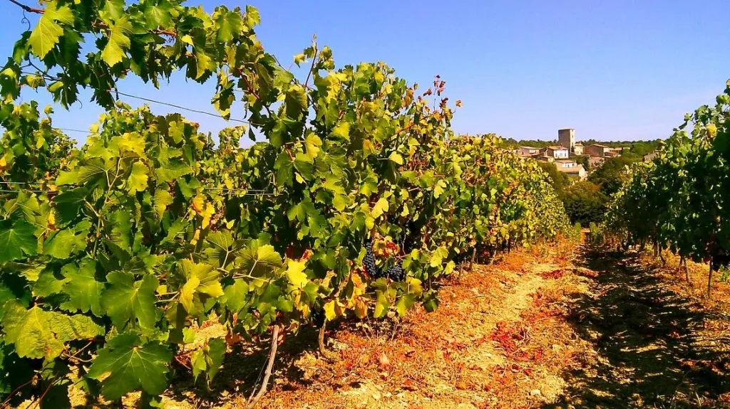 Ventenac-Cabardès, village proche de Carcassonne